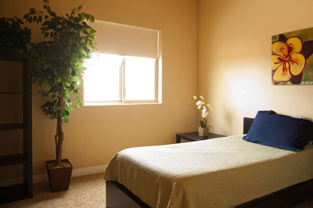Faith Based Rehabilitation 
  Programs